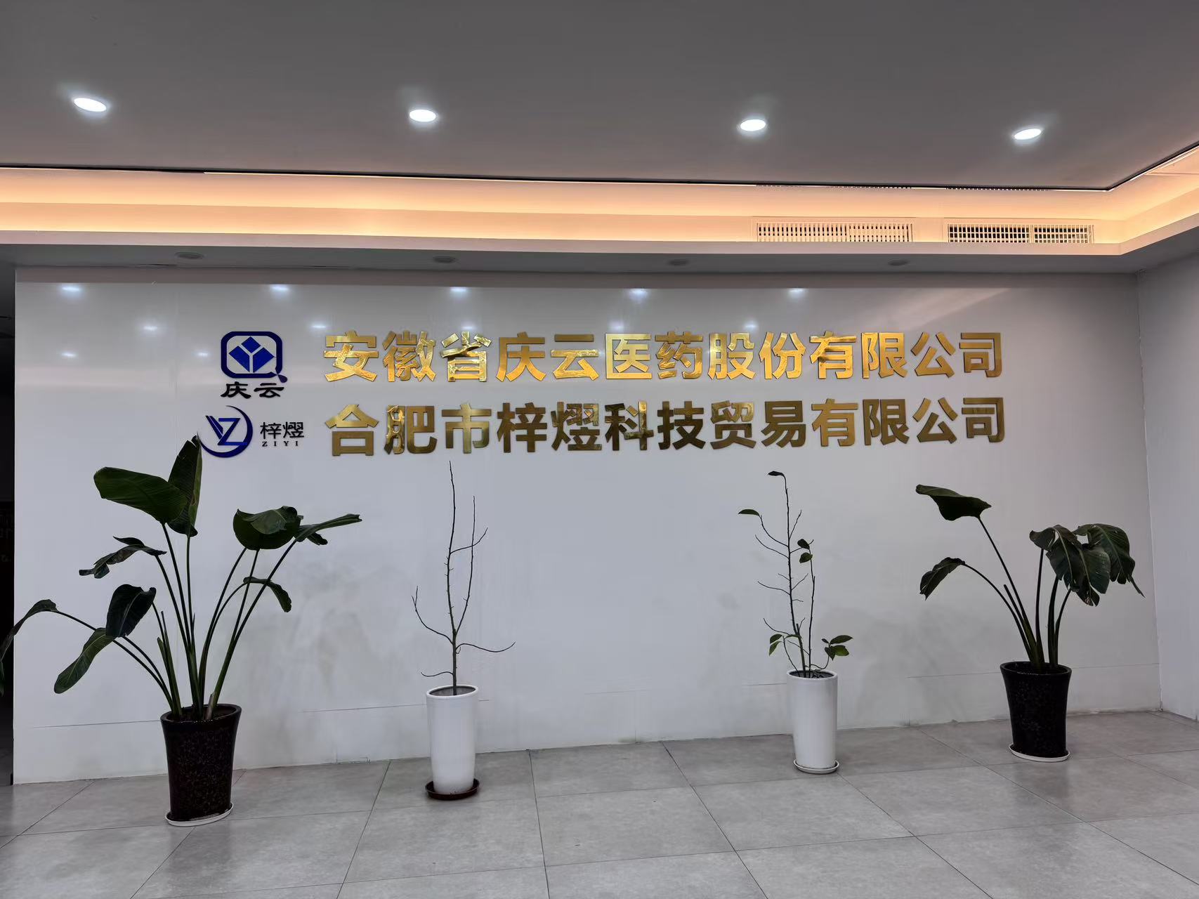 安徽省庆云医药股份有限公司