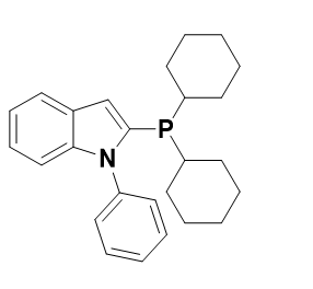 2-(二环己基膦基)-1-苯基吲哚